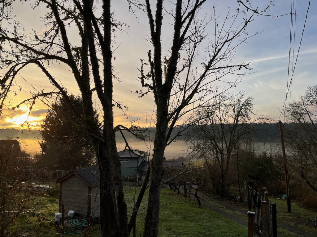 Sunset with tree and house silhouette