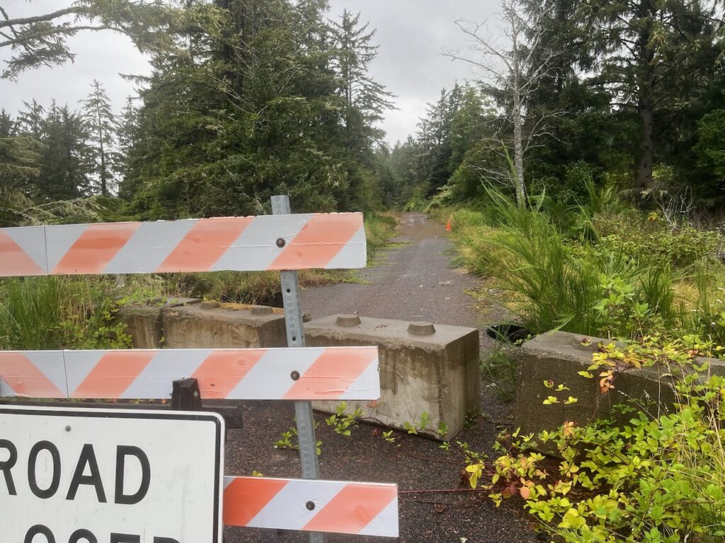 An image of a road closed an overgrown