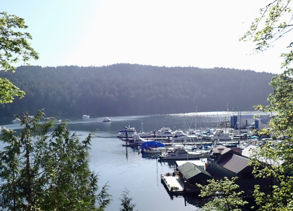 A view of the marina in Genoa Bay