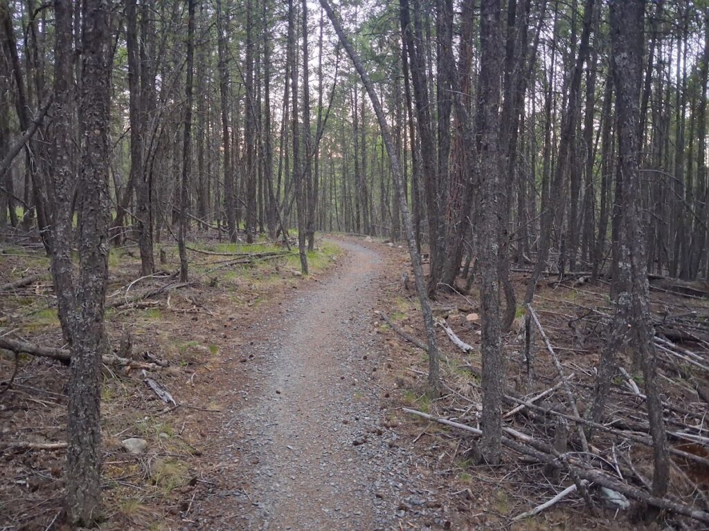 good trail