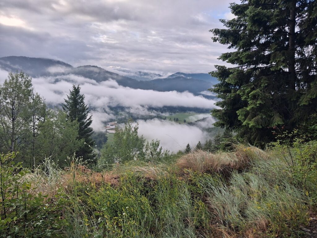 View over Christina Lake