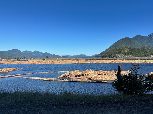 Sayward