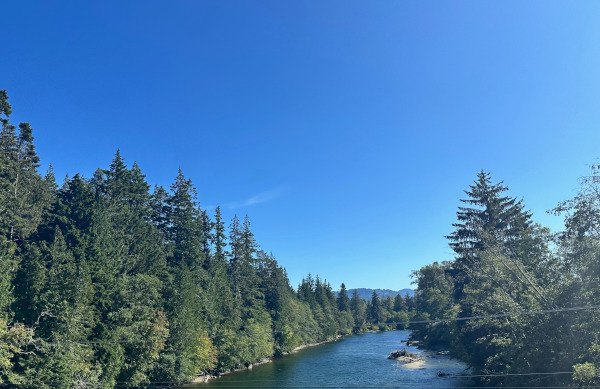 Salmon River near Sayward