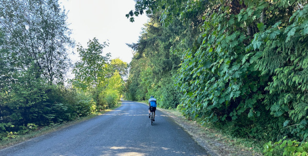 a lane near Cedar