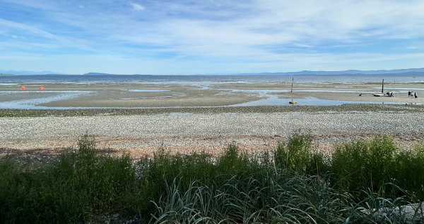 Qualicum Beach