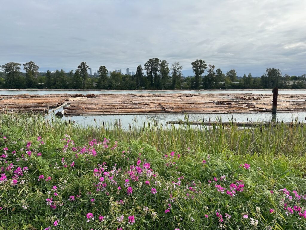 log booms on the river