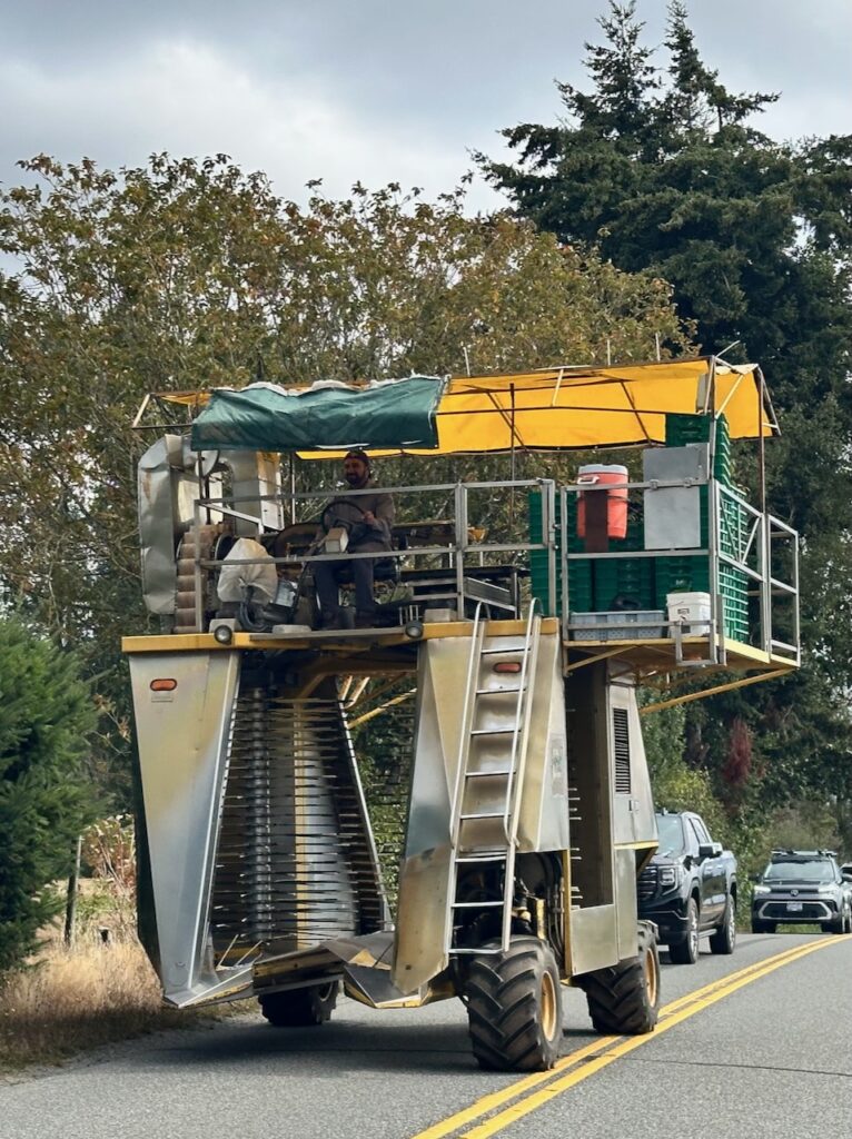 Berry picking machine on the road