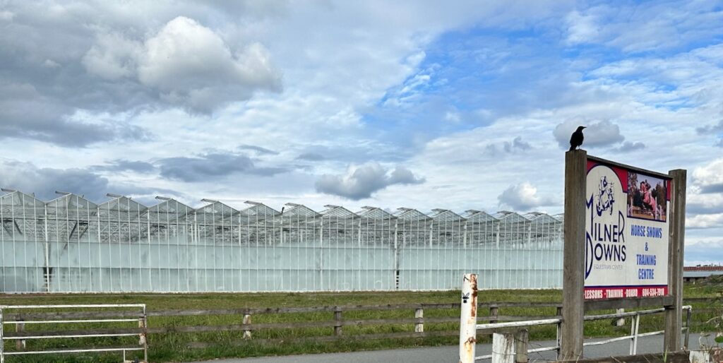 greenhouses